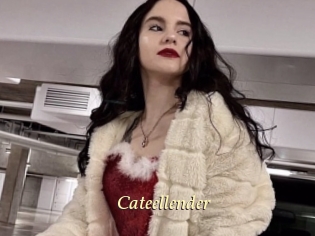 Cateellender