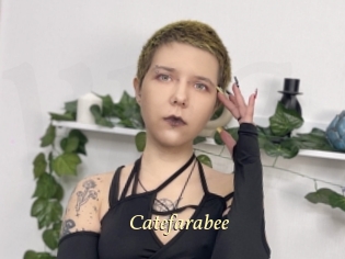 Catefarabee