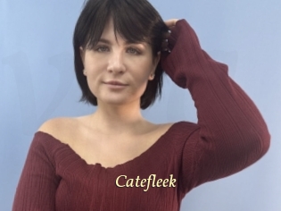 Catefleek