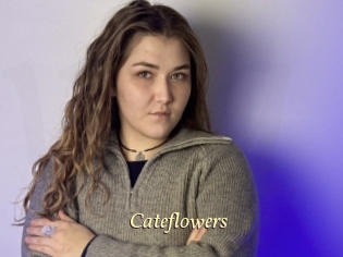 Cateflowers