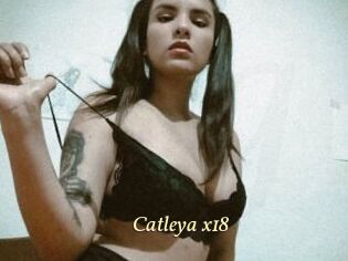Catleya_x18