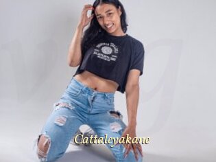 cattaleyakane Vidéo porno gratuite