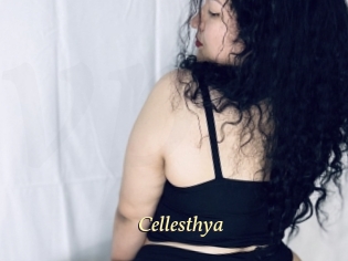 Cellesthya
