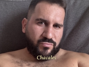Chacales