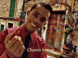 Chamo_brown