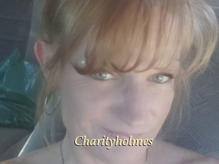 Charityholmes