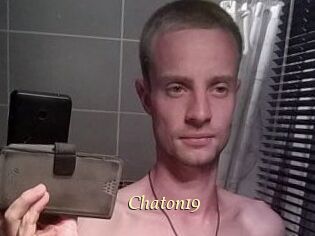 Chaton19
