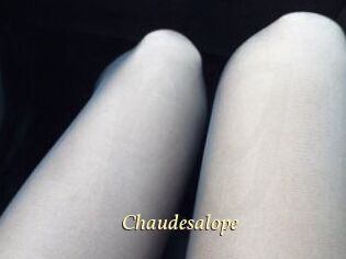Chaudesalope