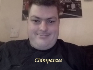 Chimpanzee