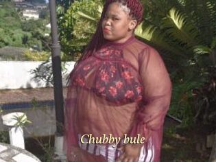 Chubby_bule