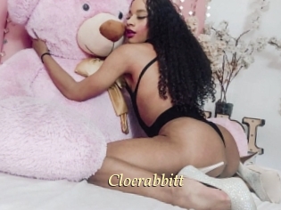 Cloerabbitt