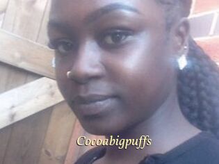 Cocoabigpuffs