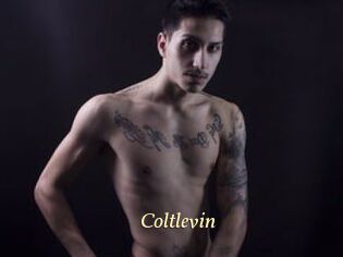 Coltlevin