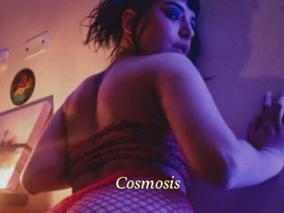 Cosmosis