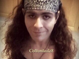 Cottontail28