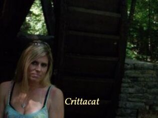Crittacat