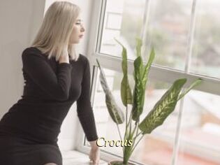 Crocus