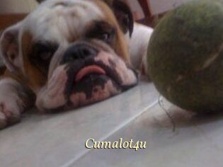 Cumalot4u