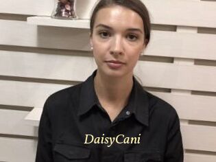 DaisyCani