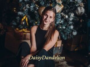 DaisyDandelion