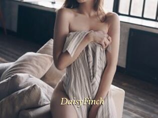 DaisyFinch