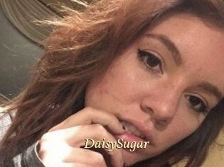 Daisy_Sugar