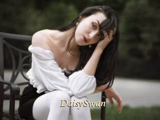 DaisySwan