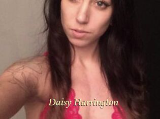 Daisy_Harrington