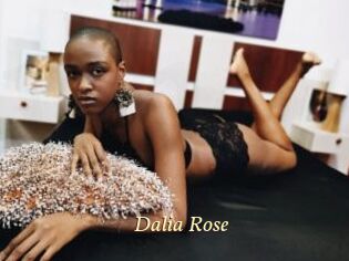 Dalia_Rose