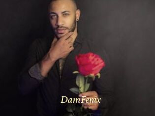 DamFenix