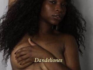 Dandeliones