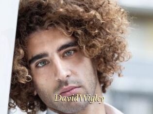DavidWigley