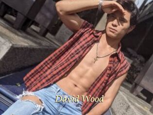 David_Wood