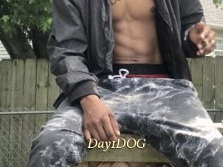 Day1DOG