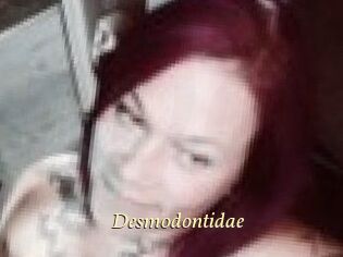Desmodontidae