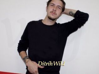 DitrihWild