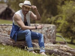 DomiinicSantos