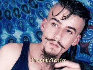 DominicTerrier