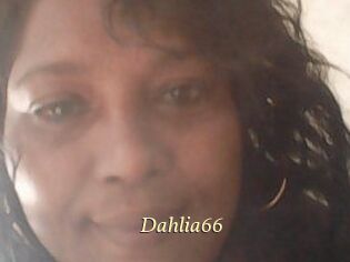 Dahlia66