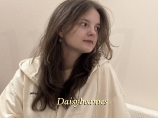 Daisybeames
