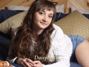 Daisybeech