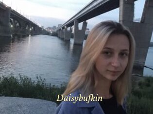 Daisybufkin