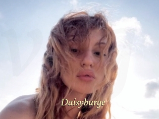 Daisyburge