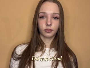 Daisyburland