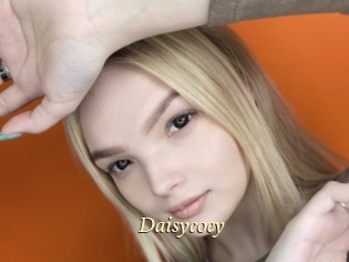 Daisycoey