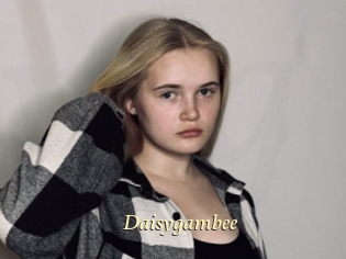 Daisygambee