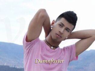 Damnfoxter