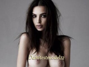 Danitestmodel12