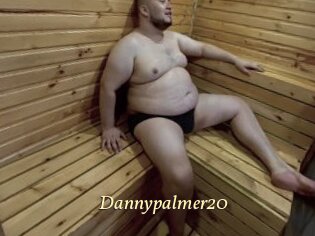 Dannypalmer20
