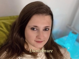 Dantelmure
